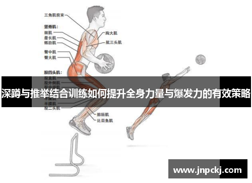深蹲与推举结合训练如何提升全身力量与爆发力的有效策略