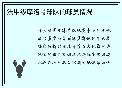 法甲级摩洛哥球队的球员情况