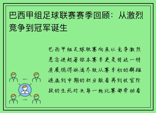 巴西甲组足球联赛赛季回顾：从激烈竞争到冠军诞生