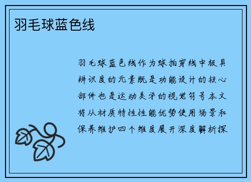 羽毛球蓝色线
