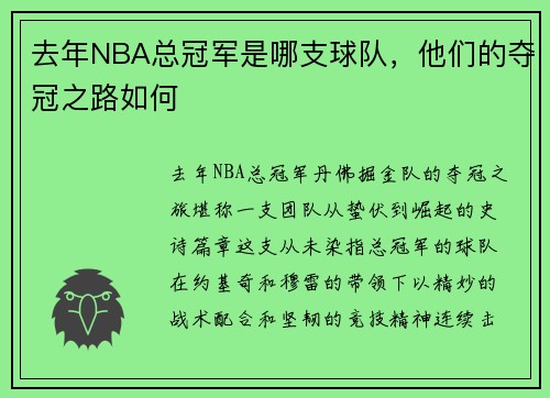 去年NBA总冠军是哪支球队，他们的夺冠之路如何