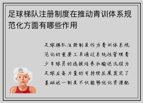 足球梯队注册制度在推动青训体系规范化方面有哪些作用